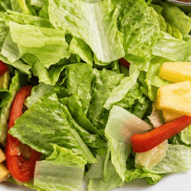 Side Garden Salad.